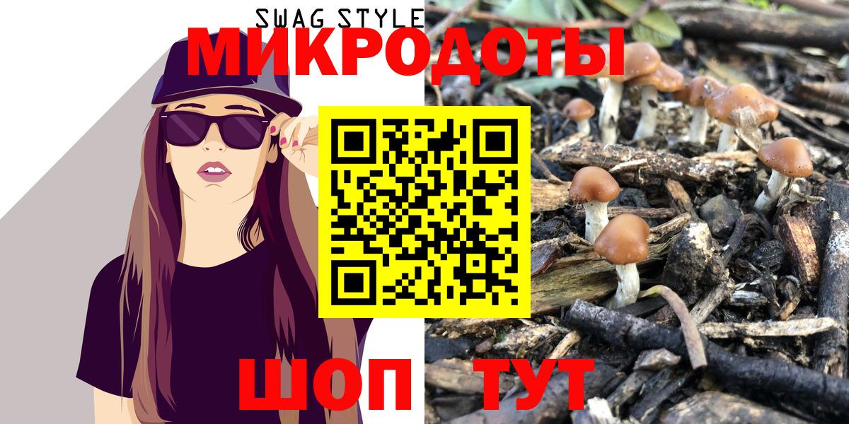 Псилоцибиновые грибы Psilocybe Шебекино