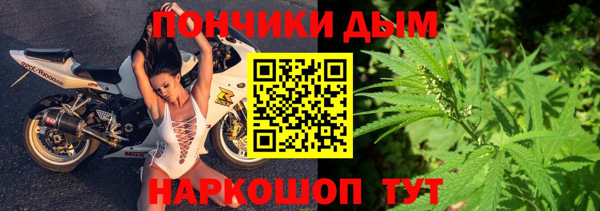 Бошки Шишки сатива Шебекино